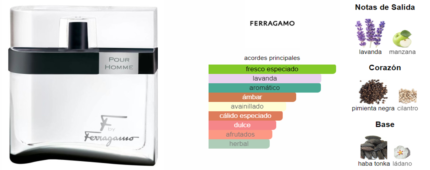 F by Ferragamo Black Salvatore Ferragamo