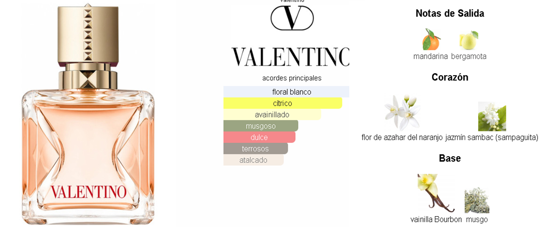 imagen_2026-01-05_175124678