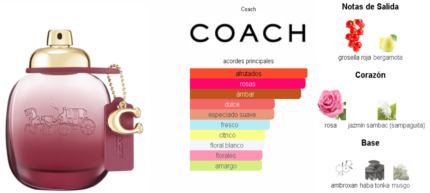 Coach Wild Rose Coach
