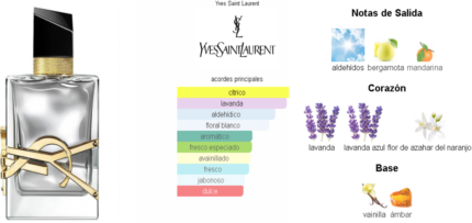 Libre L'Absolu Platine Yves Saint Laurent