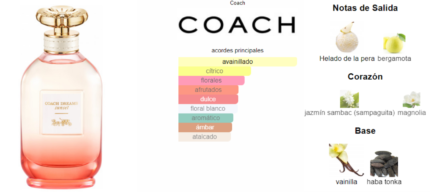 Coach Dreams Sunset Coach